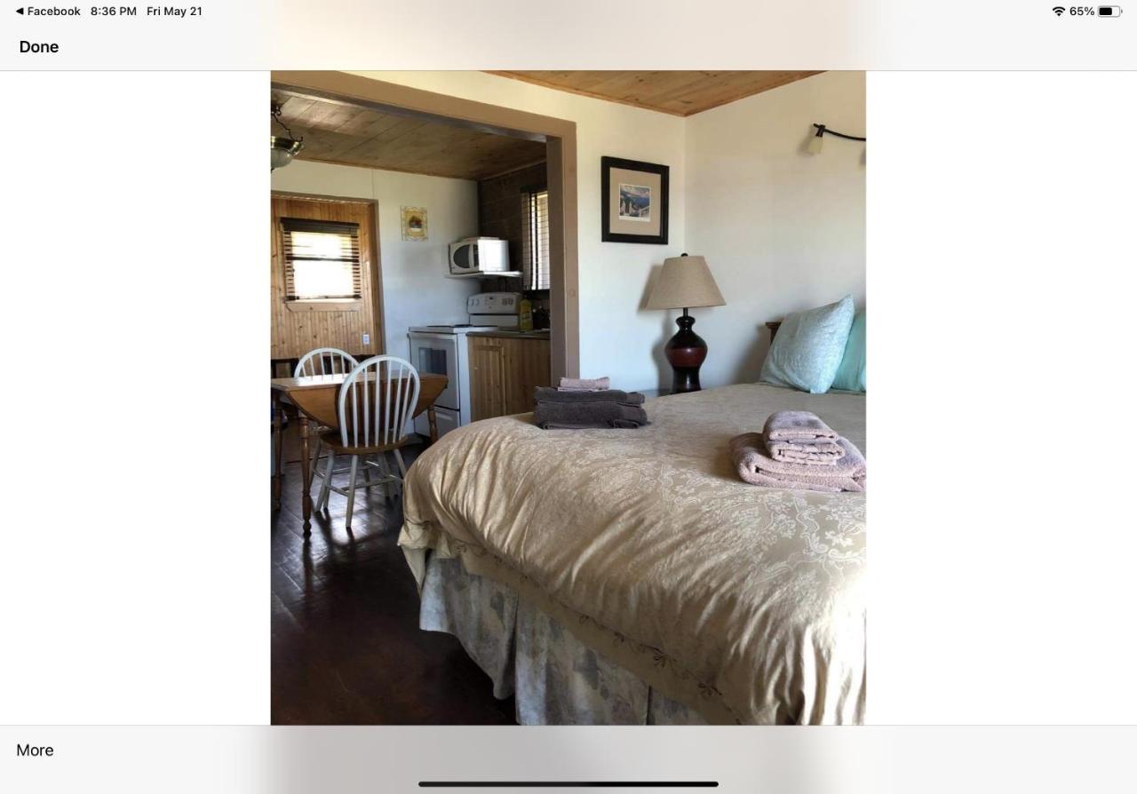 Bird Island B&B Bed And Bubble Elliston Luaran gambar