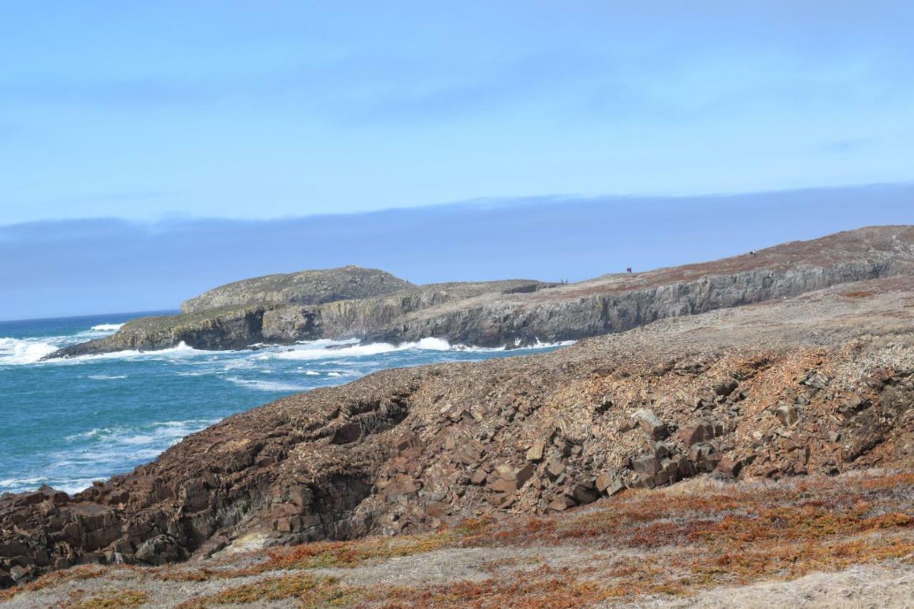Bird Island B&B Bed And Bubble Elliston Luaran gambar